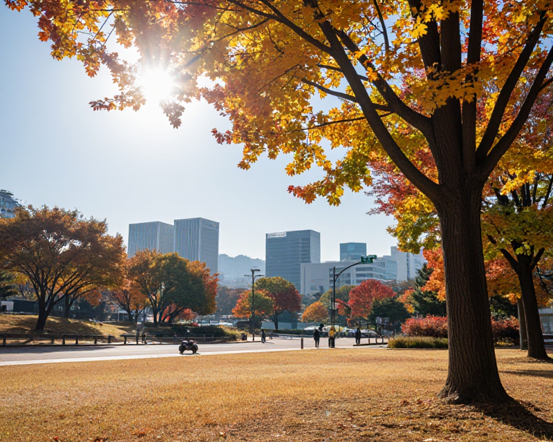 Sunny Morning in Seoul