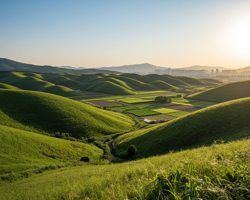 South Korean landscape with land ownership concept